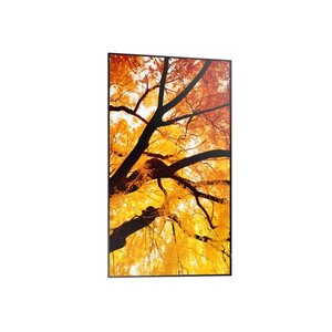 Sharp NEC Display MultiSync M982 2489.20 mm LCD Digital Signage Display - In-plane Switching (IPS) Technology - 3840 x 216