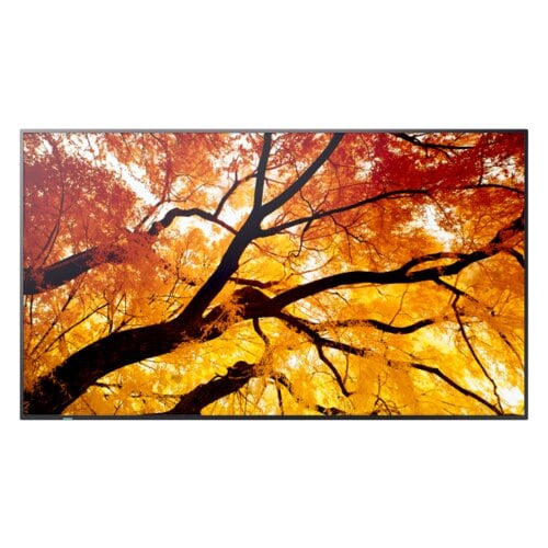NEC Display PN-M752 1905 mm LCD Digital Signage Display - 3840 x 2160 - Direct LED - 550 cd/m² - 2160p