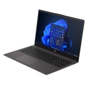 HP 250 G10 39.6 cm (15.6") Notebook - Full HD - Intel Core i3 13th Gen i3-1315U - 8 GB - 256 GB SSD - Dark Ash Silver - In
