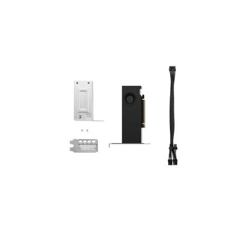 Lenovo NVIDIA RTX 2000 ada Graphic Card - 16 GB GDDR6 - 4 x Mini DisplayPort - Mini DisplayPort