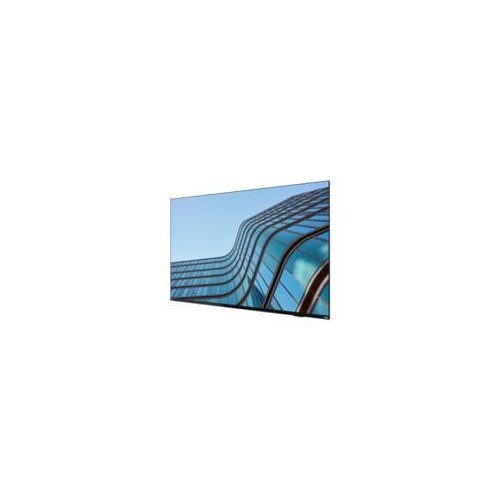 ThinkVision E55 LFD
