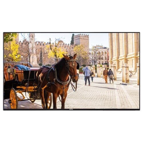 Vestel Visual Solutions OPS150-71E Digital Signage Appliance - 1.50 GHz - 2 GB DDR4 SDRAM - 2160p - USBWireless LAN - Blue