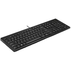 TECLADO ALAMBRICO HP 125 USB-A 180CM NEGRO 50 RECICLADO 1YW