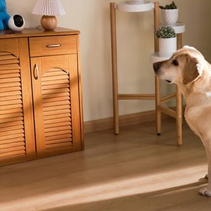 CAMARA DE VIGILANCIA EZVIZ C6CON DETECCION DE HUMANA Y MASCOTA