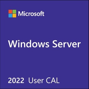 Windows Server CAL 2022/2019, 1 CAL de usuario, OEM (Standard o Datacenter) (no es escritorio remoto)