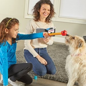 Pooch School Training Set
