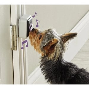 Talking Pet Doorbell
