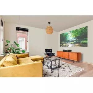 Epson Projector/Projection Screen Kit