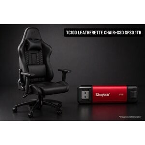 TC100 LEATHERETTE CHAIR+SSD SPSD 1TB