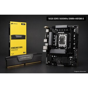 16GB DDR5 5600MHZ DIMM+H810M-X